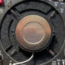 Alternative view of Tierra Audio New Twenties Condenser Microphone