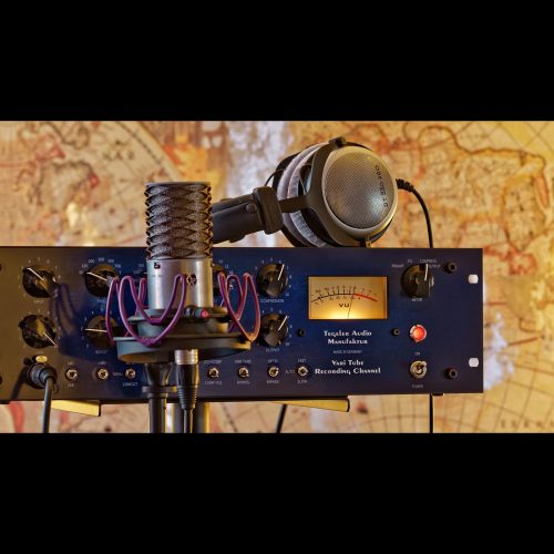 Tegeler Audio Manufaktur Vari Tube Recording Channel VTRC – Channel Strip - Image 4