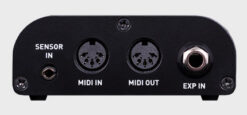 Alternative view of Source Audio SA164MIPE
