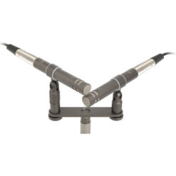 Microtech Gefell M 310 Small-Diaphragm Supercardioid Condenser Microphone (Matched Pair)