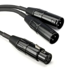 Roland_RCC-YC-XF2XM_Y_Cable_-_Black_Series_XLRF_Female_to_Dual_XLRM_Male_Interconnect_Cable_1