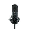 Stam_Audio_Engineering_SA-800G_Large_Dual-Diaphragm_Tube_Condenser_Microphone