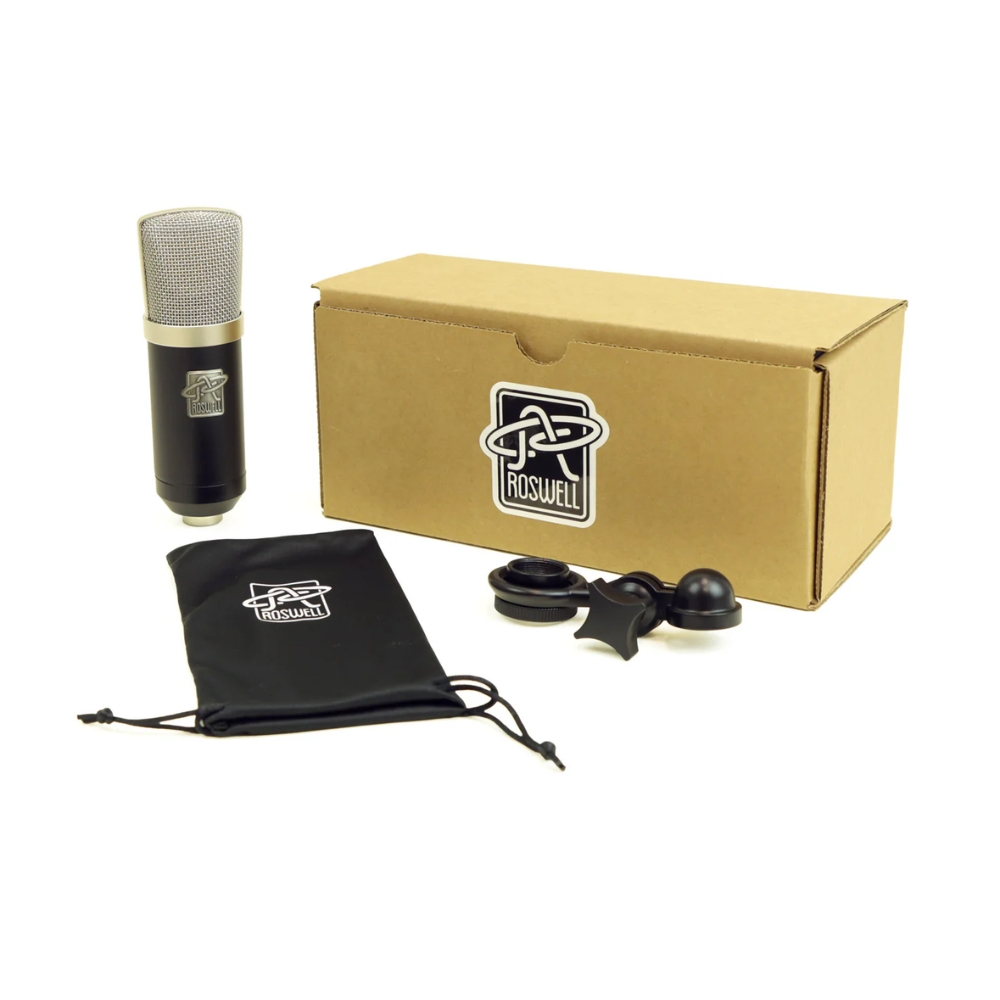 Roswell_Pro_Audio_Cab_Mic_-_Guitar_Recording_Condenser_Microphone_-_2_Mic_Box_and_Accessories