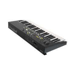 Waldorf_Music_STVC_Keyboard_-_49-Key_String_Synthesizer_with_Vocoder_-_8_Rear_View_Right_Angle_Without_Microphone