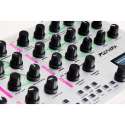 Suonobuono_Polyvera_-_6-Voice_Hybrid_Digital-Analog_Synthesizer_and_Sampler_with_Wavetable_Oscillators_Analog_Filter_and_Effects_Silver_Edition_-_7_Features_2_Top_Middle_and_Right