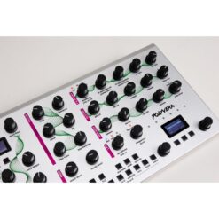 Suonobuono_Polyvera_-_6-Voice_Hybrid_Digital-Analog_Synthesizer_and_Sampler_with_Wavetable_Oscillators_Analog_Filter_and_Effects_Silver_Edition_-_8_Features_3_Top_View_Middle_and_Right_Side