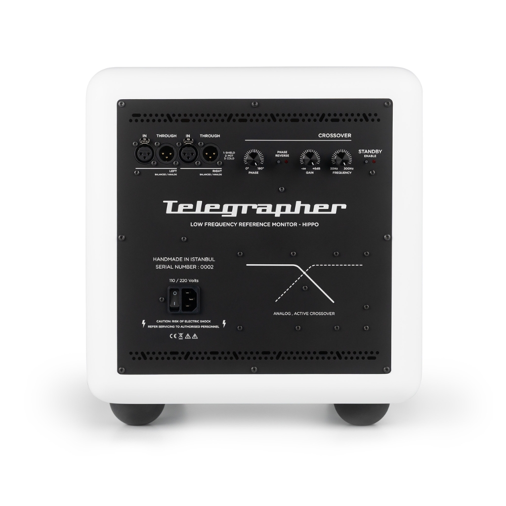 Telegrapher_HIPPO_-_10-inch_Active_Analog_Subwoofer_Trooper_White_-_7_Rear_no_Grills
