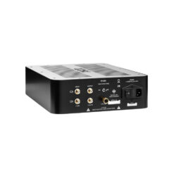 IGS_Audio_PHOM_-_Tube_Phono_Stage_with_the_Passive_RIAA_Filter_-_3_Rear_and_Top_Left_Side_Right_Angle